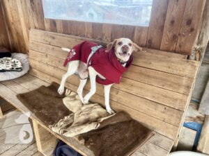 Hutamix-25-03-w17-002