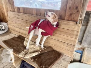 Hutamix-25-03-w17-003