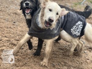 Hutamix-25-03-w17-004