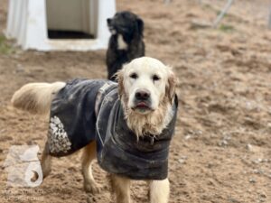 Hutamix-25-03-w17-005