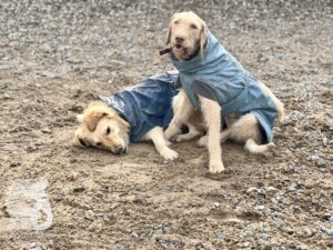 Hutamix-25-03-w17-006