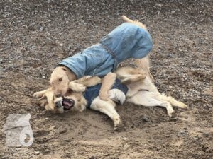 Hutamix-25-03-w17-007