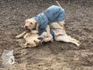 Hutamix-25-03-w17-008