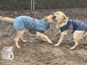 Hutamix-25-03-w17-009