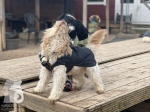 Hutamix-25-03-w17-013