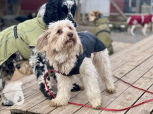 Hutamix-25-03-w17-014