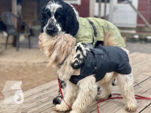 Hutamix-25-03-w17-015