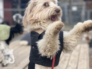 Hutamix-25-03-w17-016