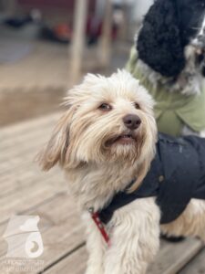 Hutamix-25-03-w17-017