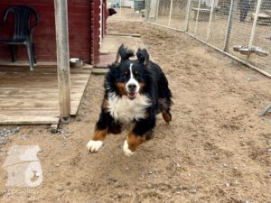 Hutamix-25-03-w17-020