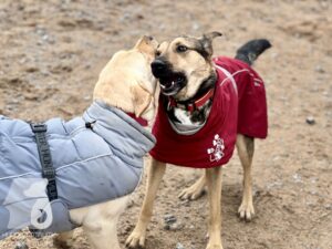 Hutamix-25-03-w17-021