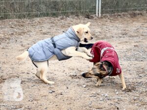 Hutamix-25-03-w17-022