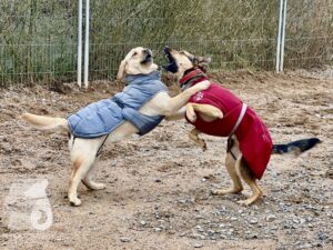 Hutamix-25-03-w17-023