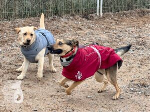 Hutamix-25-03-w17-024