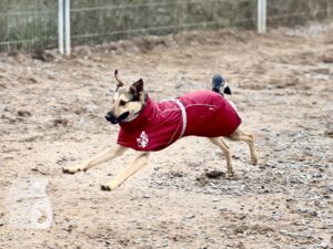 Hutamix-25-03-w17-025