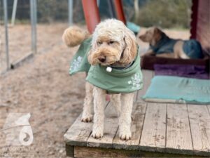 Hutamix-25-03-w17-026