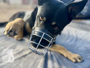 Hutamix-25-03-w17-027