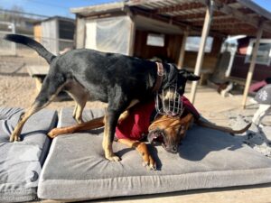 Hutamix-25-03-w17-029