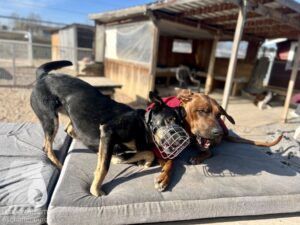 Hutamix-25-03-w17-030