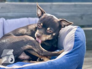 Hutamix-25-03-w17-031