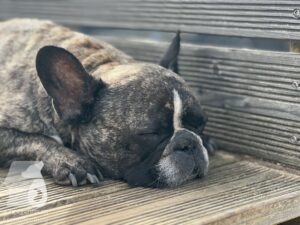 Hutamix-25-03-w17-032