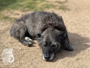 Hutamix-25-03-w17-033