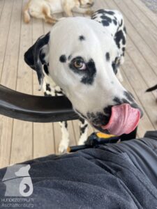 Hutamix-25-03-w17-034