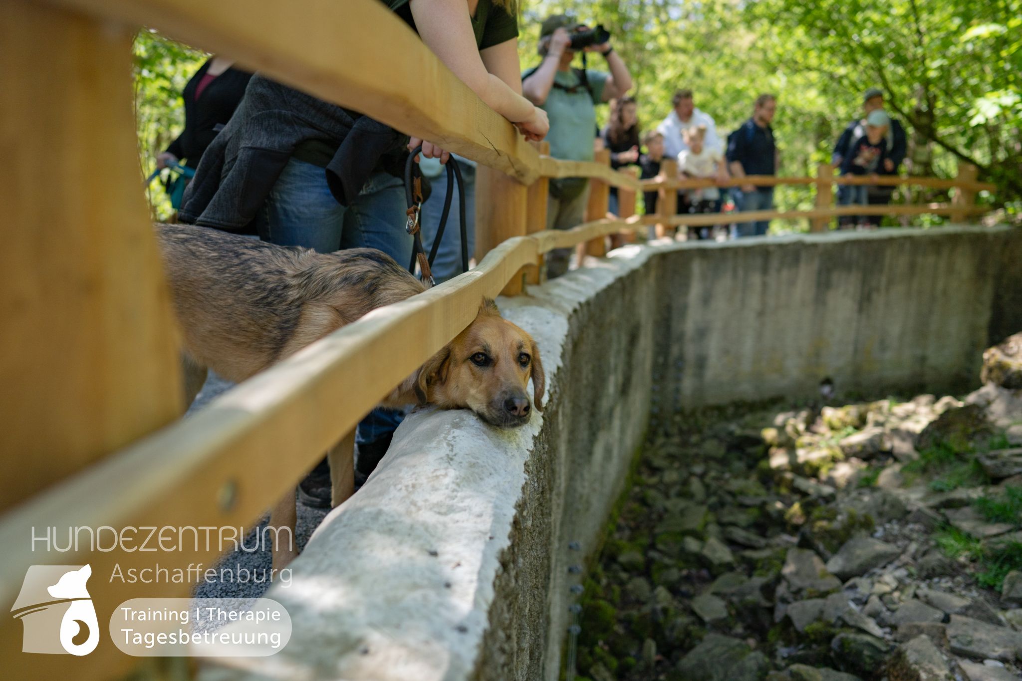 Zooausflug-Hundeclub-1009