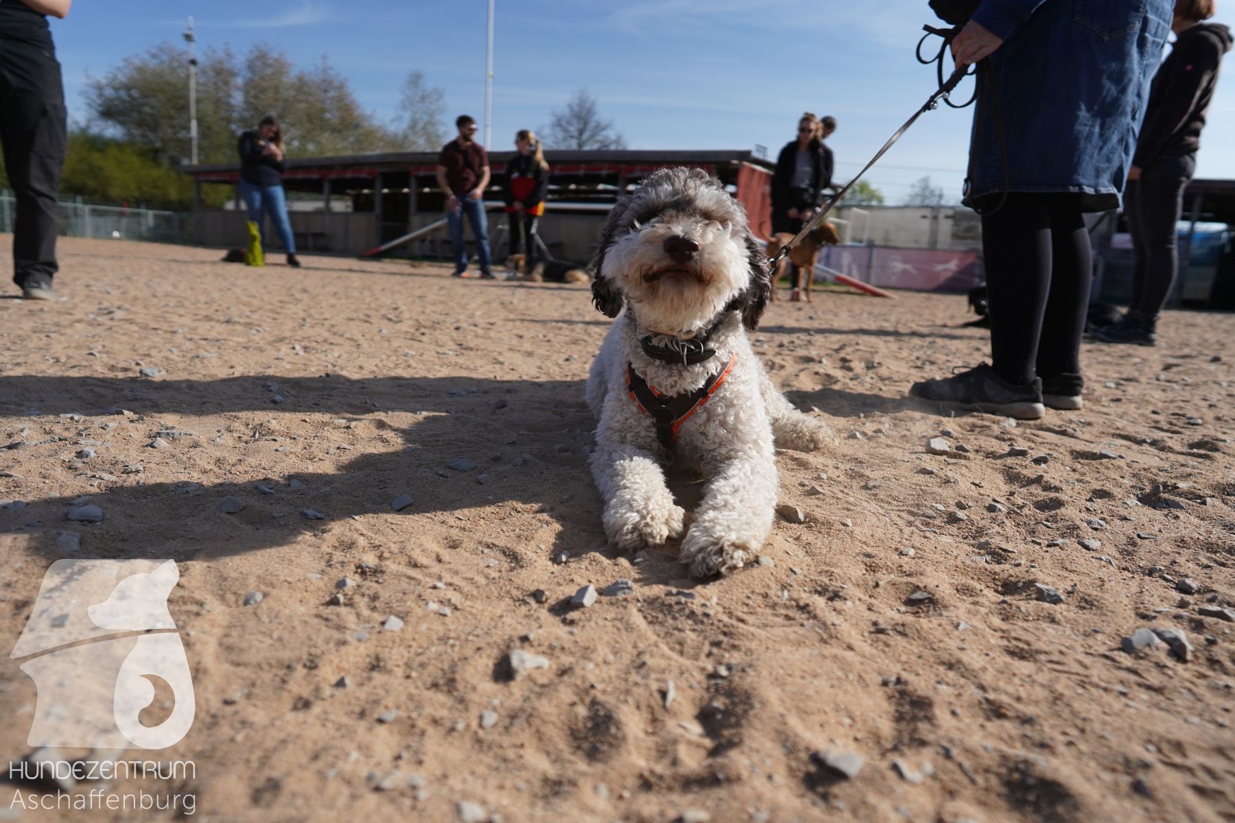 Hundeclub-Osterspecial-002