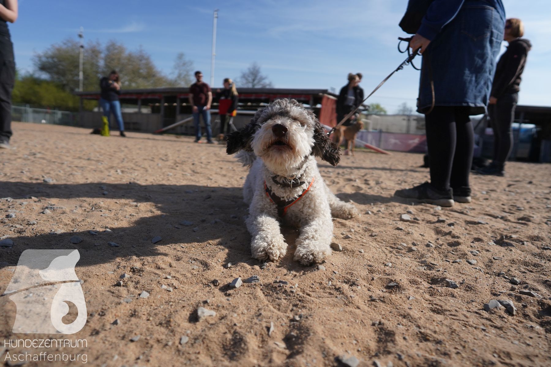 Hundeclub-Osterspecial-003