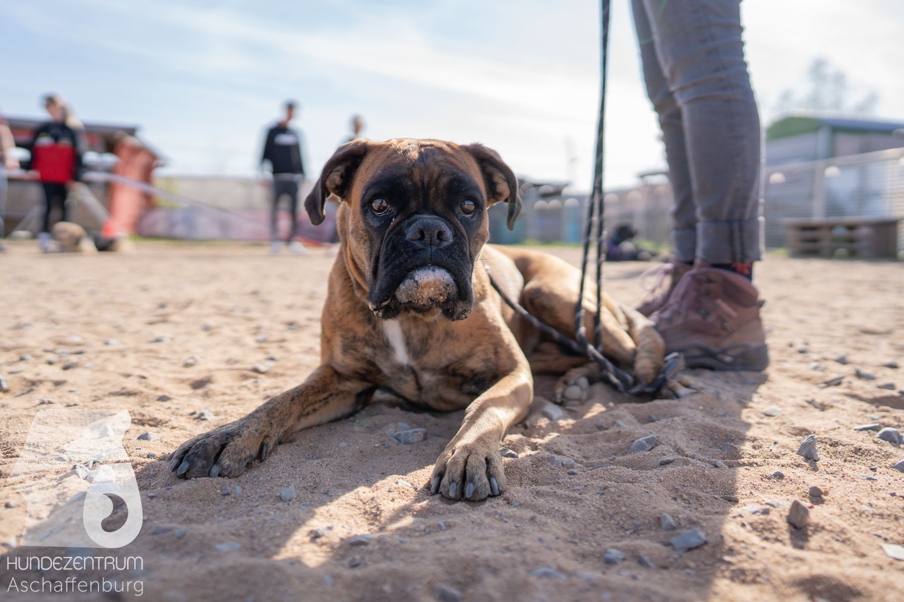 Hundeclub-Osterspecial-004