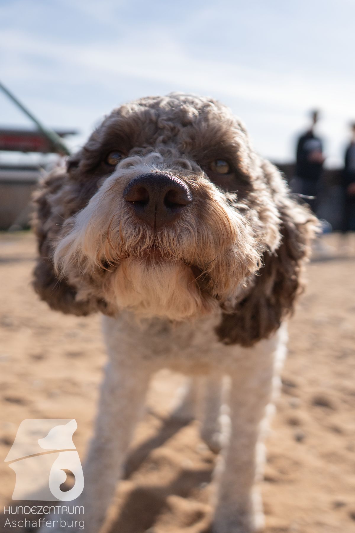 Hundeclub-Osterspecial-005