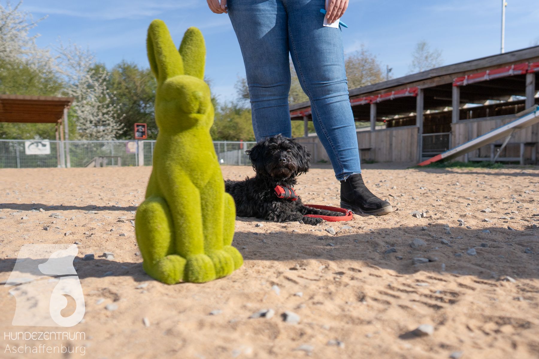 Hundeclub-Osterspecial-006