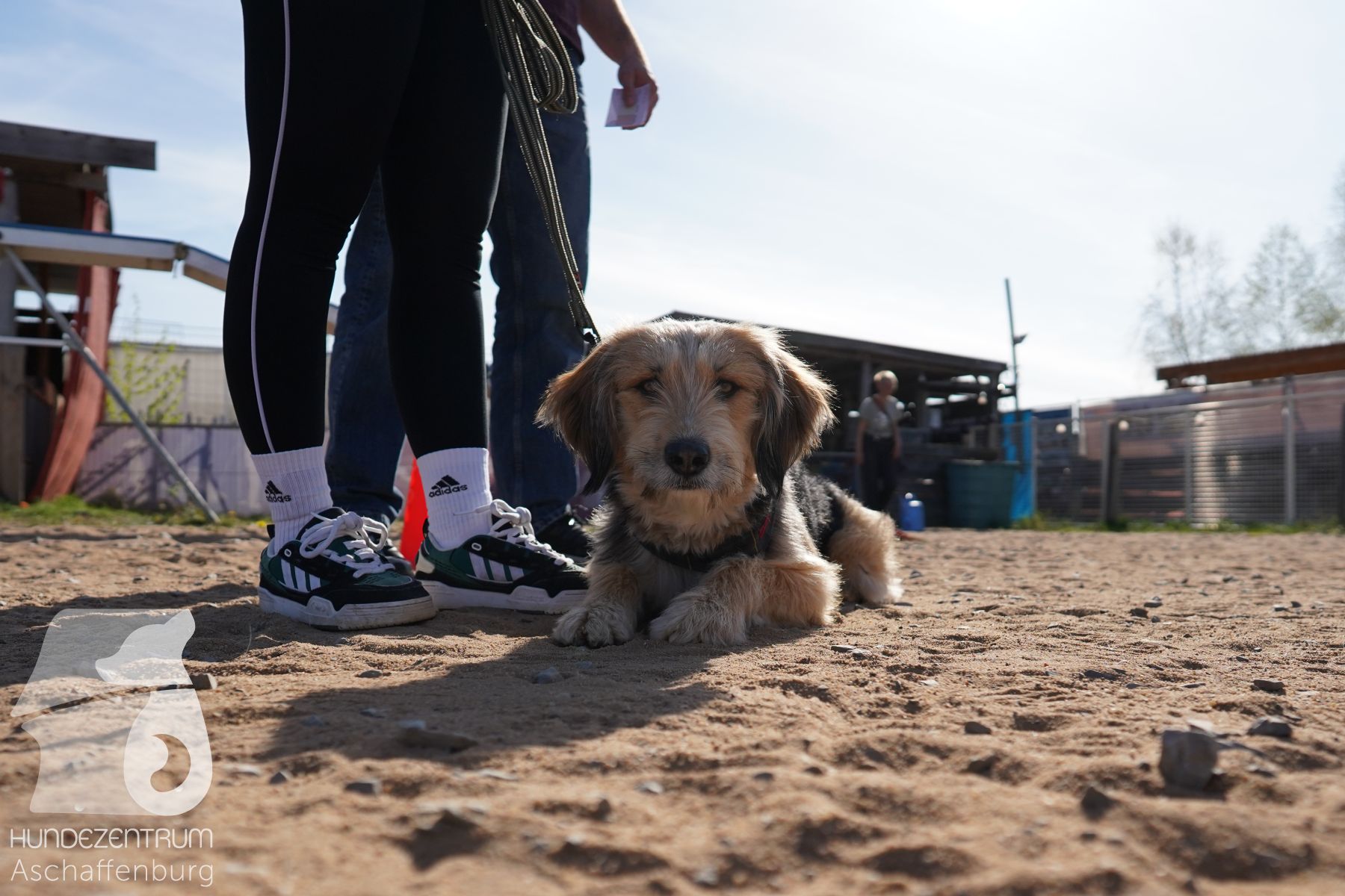 Hundeclub-Osterspecial-007