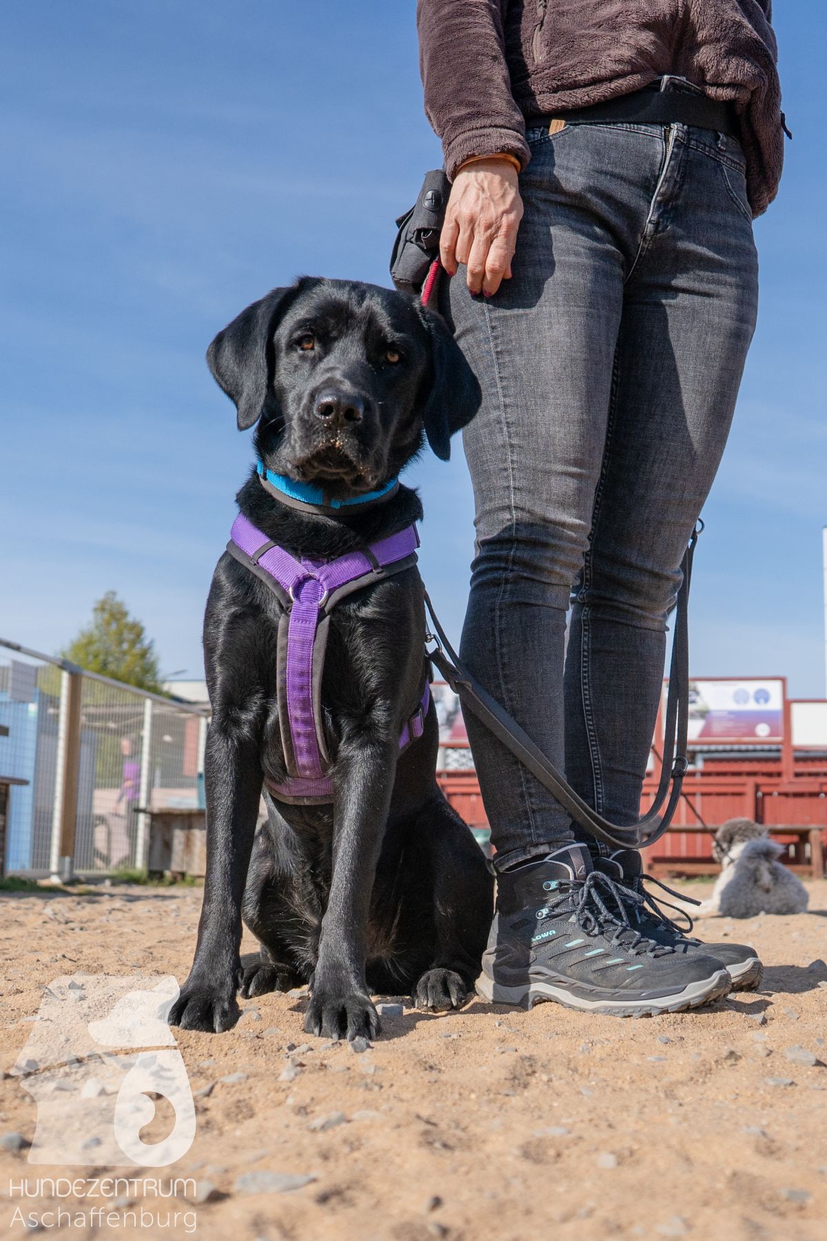 Hundeclub-Osterspecial-008