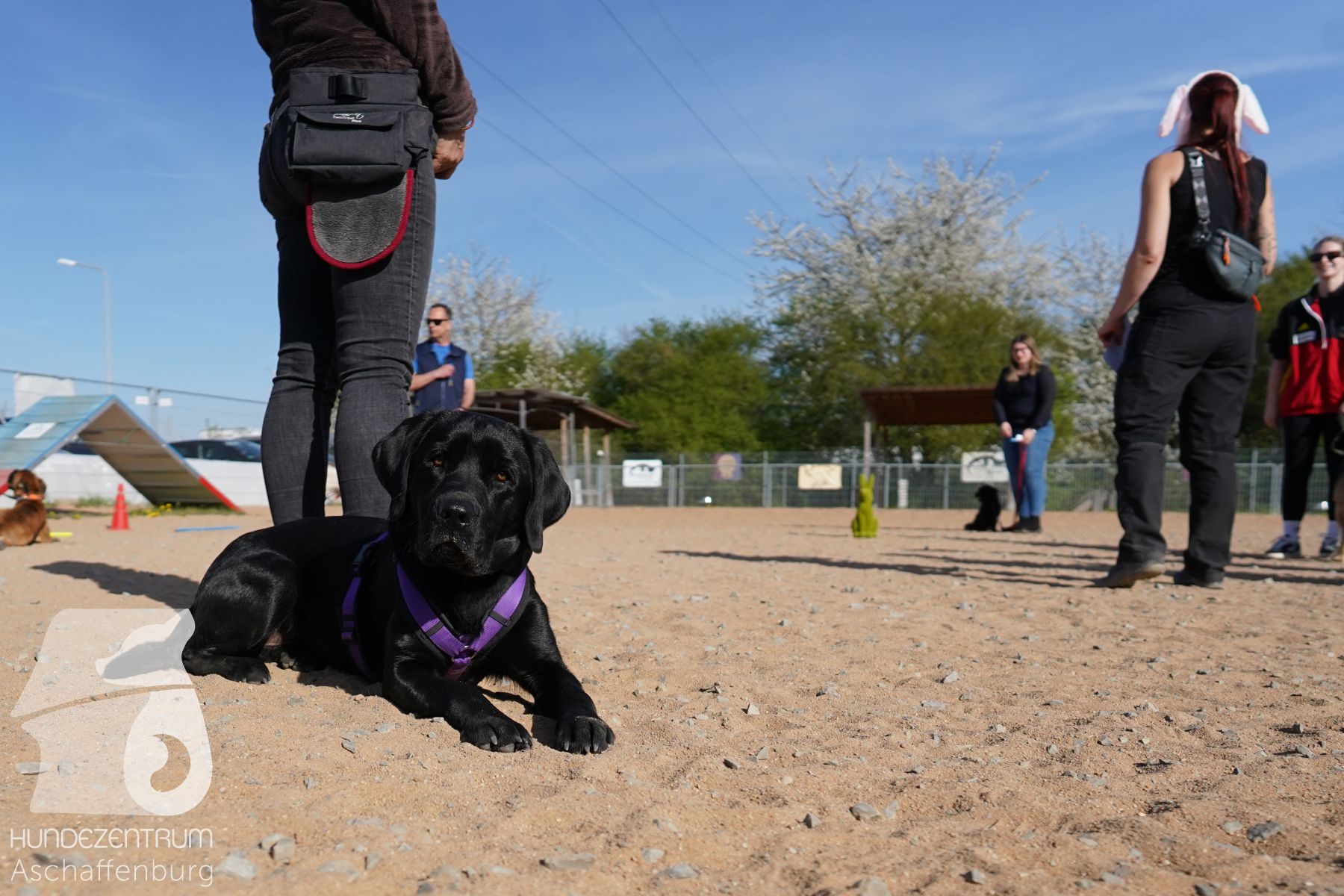 Hundeclub-Osterspecial-009