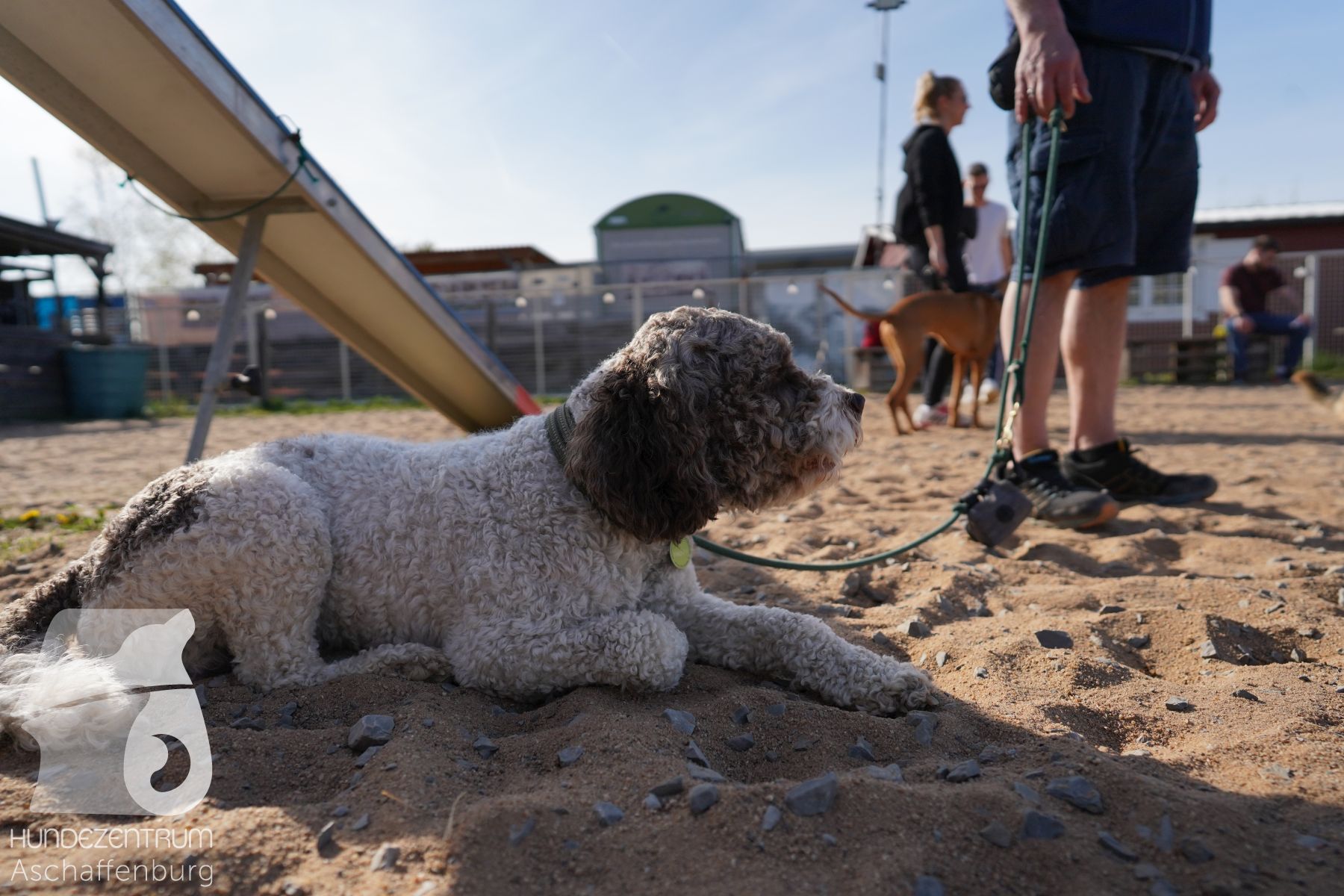 Hundeclub-Osterspecial-014