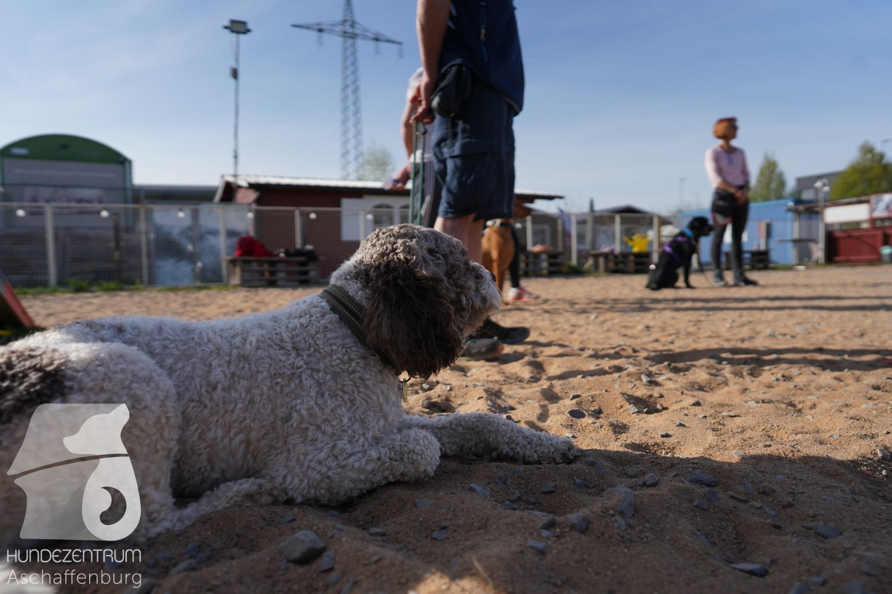 Hundeclub-Osterspecial-015