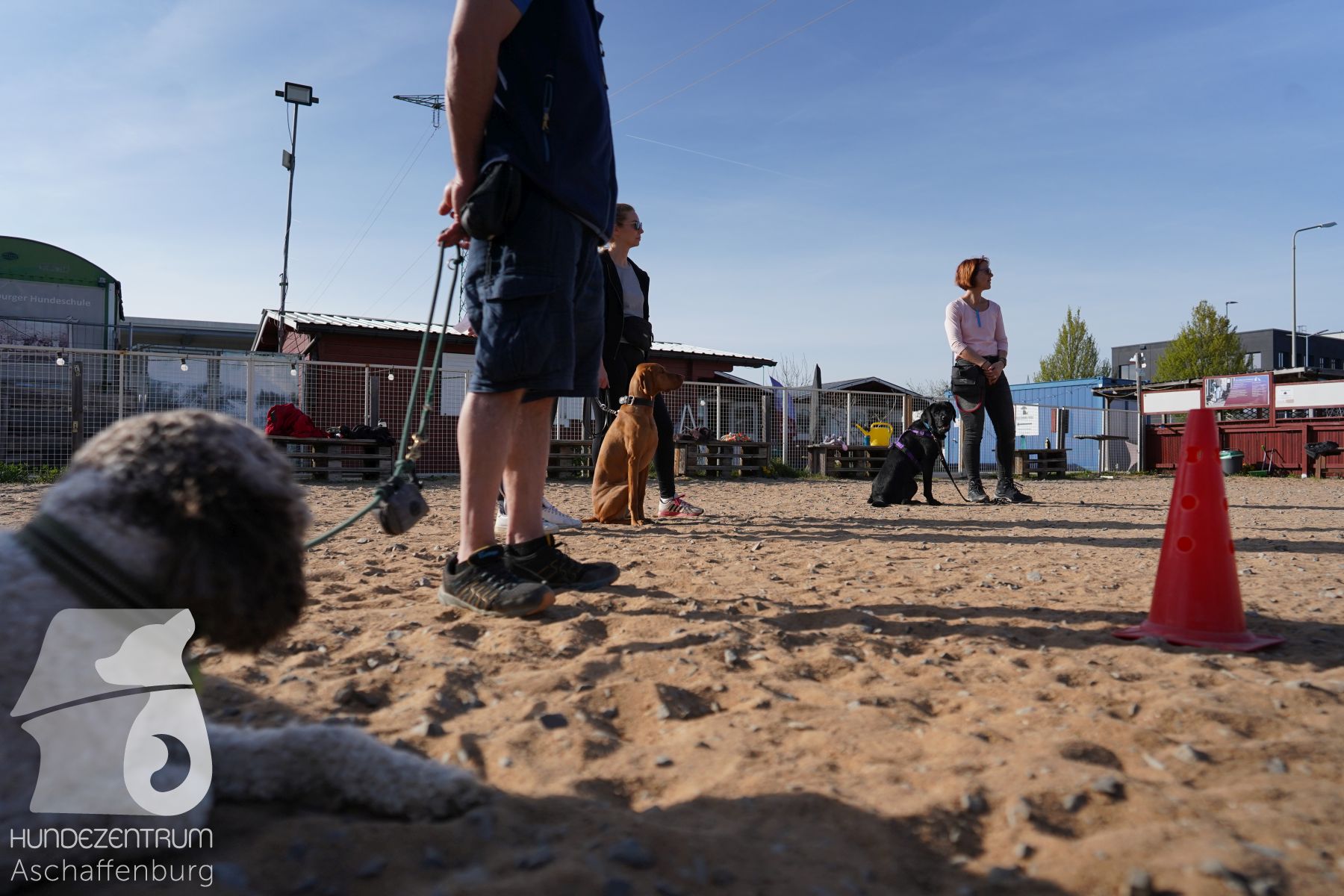 Hundeclub-Osterspecial-016