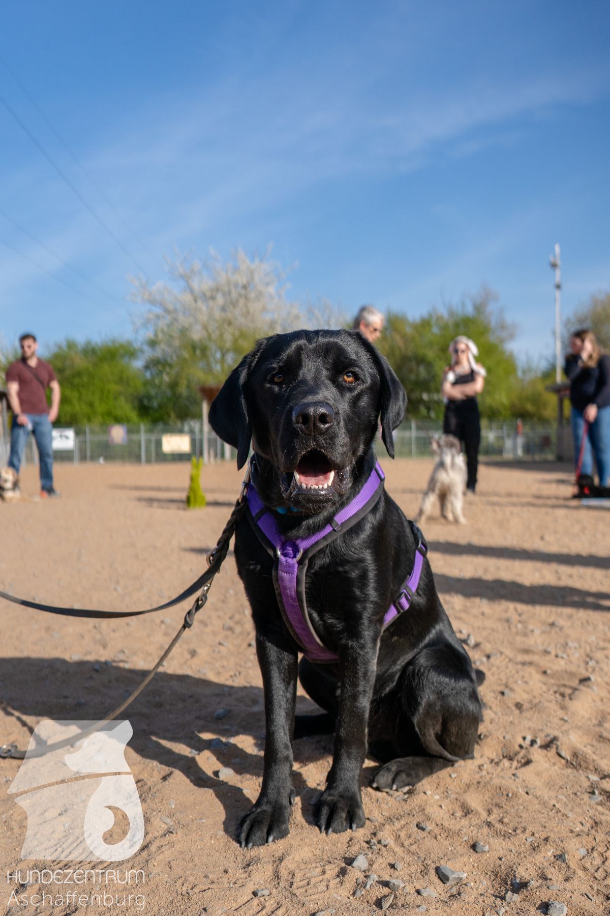 Hundeclub-Osterspecial-019