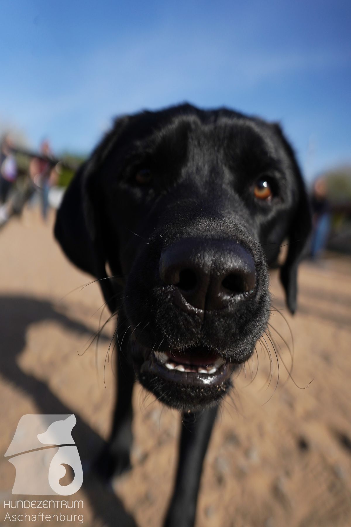 Hundeclub-Osterspecial-020