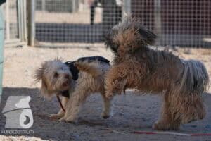 Hutamix-25-03-w24-001