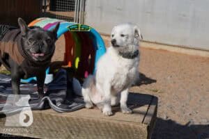 Hutamix-25-03-w24-002