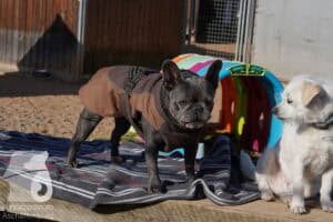 Hutamix-25-03-w24-003