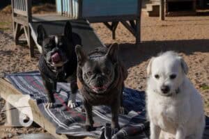 Hutamix-25-03-w24-004