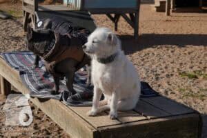 Hutamix-25-03-w24-005