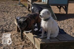 Hutamix-25-03-w24-006