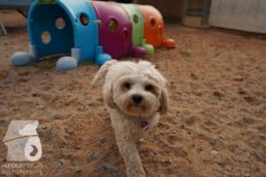 Hutamix-25-03-w24-007