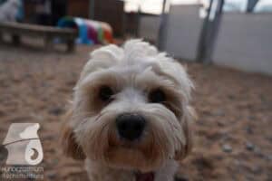 Hutamix-25-03-w24-008