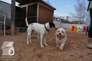 Hutamix-25-03-w24-009